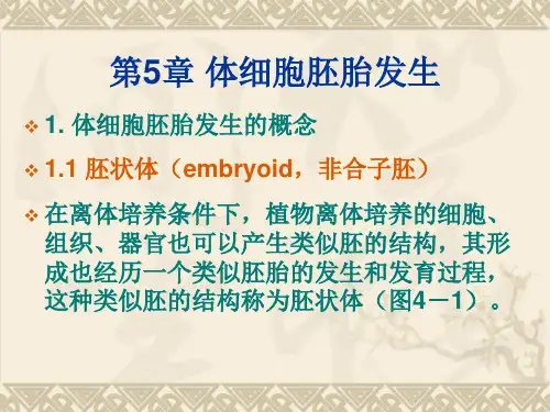 第5章  体细胞胚胎发生 - 副本