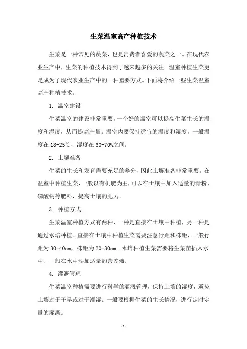 生菜温室高产种植技术