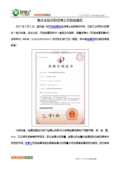 氨水实验识别泥博士页岩硅藻泥