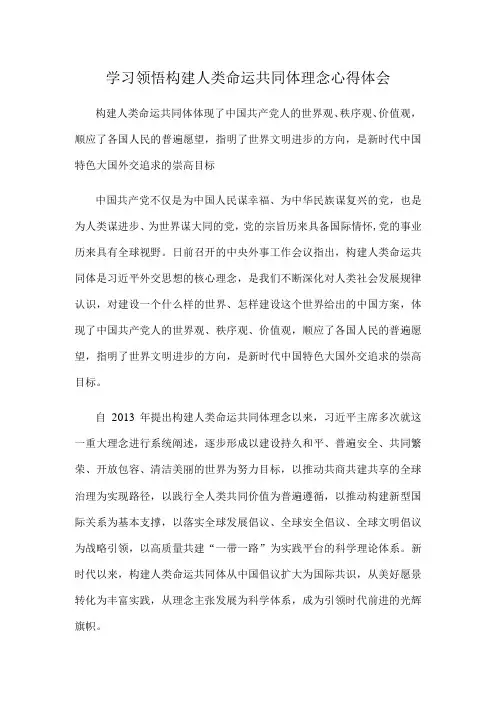 学习领悟构建人类命运共同体理念心得体会