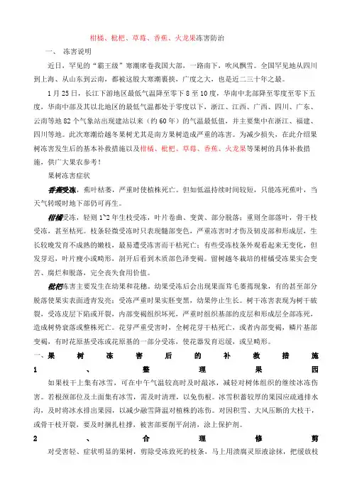 柑橘枇杷草莓香蕉火龙果冻害防治