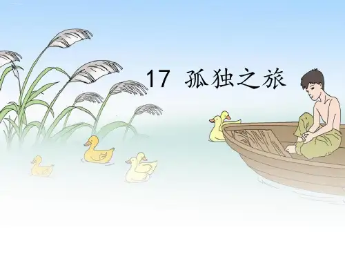 《孤独之旅》PPT