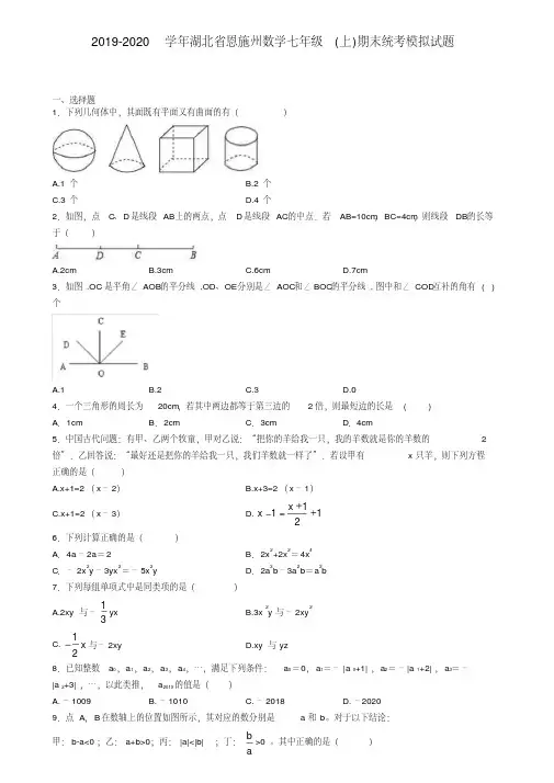 2019-2020学年湖北省恩施州数学七年级(上)期末统考模拟试题