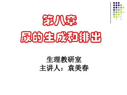 生理课件肾脏