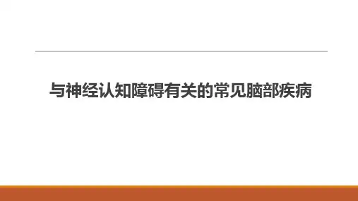 与神经认知障碍有关的常见脑部疾病