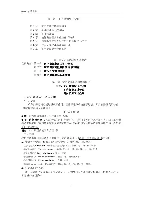 矿产资源资产评估