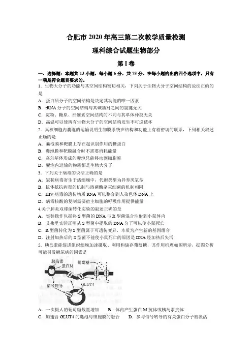 安徽省合肥市2020年高三第二次教学质量检测理综生物试题 word