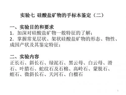 实验七 硅酸盐矿物大类(二)