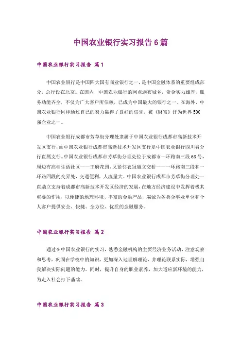 中国农业银行实习报告6篇_1