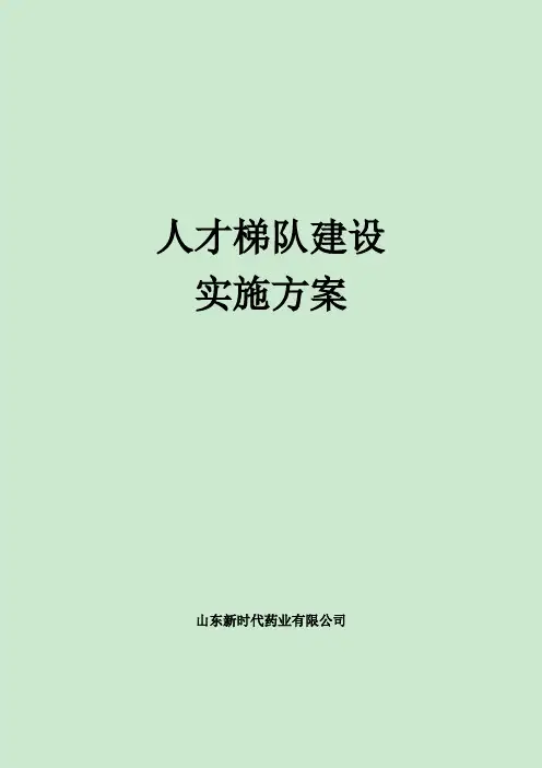 人才梯队建设实施方案