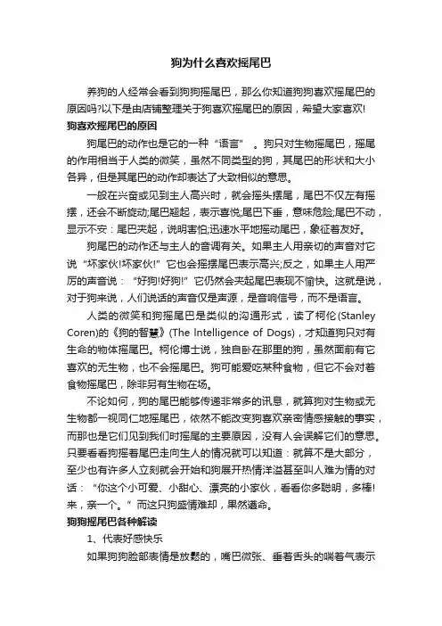 狗为什么喜欢摇尾巴