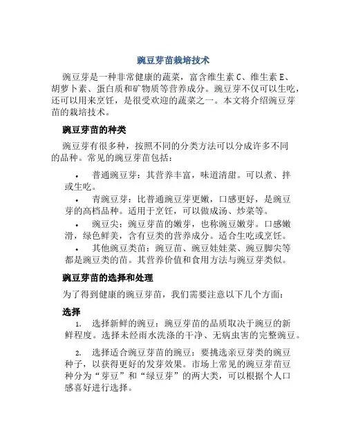 豌豆芽苗栽培技术