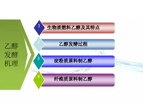 生物质燃料乙醇发酵技术