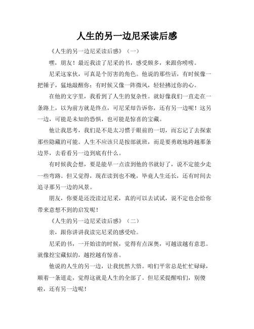 人生的另一边尼采读后感