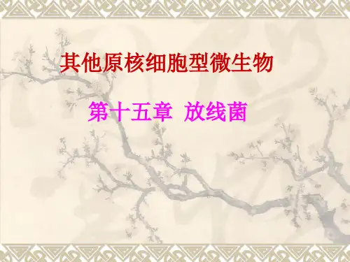病原12其他原核微生物