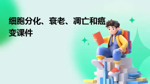 细胞分化衰老凋亡和癌变课件