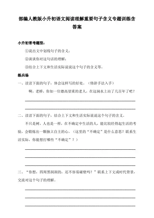 部编人教小升初语文阅读理解重要句子含义专题训练含