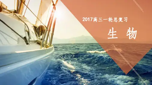 高考生物一轮复习 第三单元 细胞的能量供应和利用专题7 酶和ATP课件(必修1)