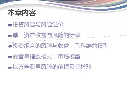 投资学投资风险与投资组合课件