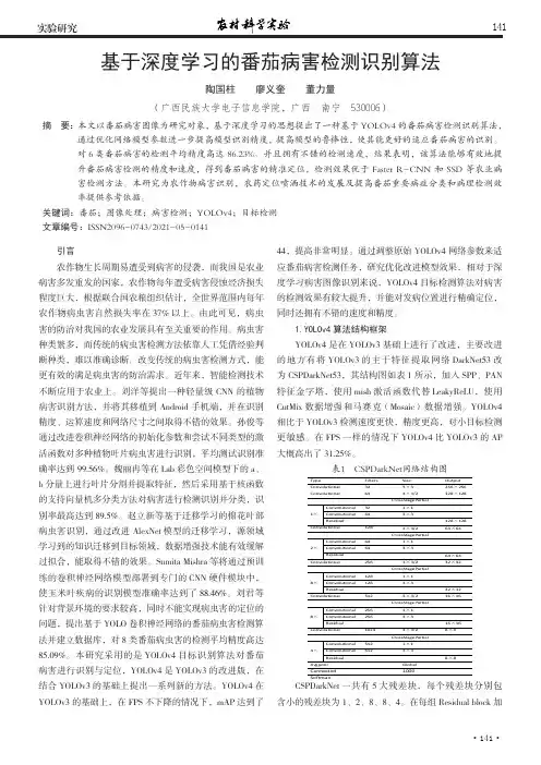 基于深度学习的番茄病害检测识别算法