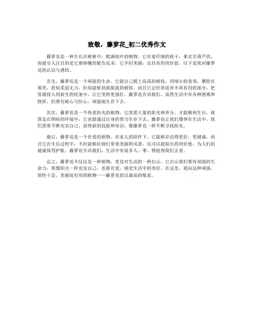 致敬,藤萝花_初二优秀作文