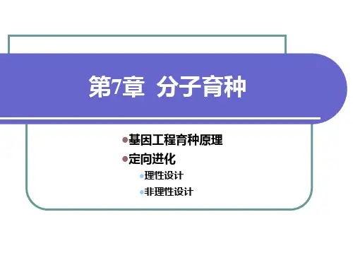 完整版分子育种PPT课件