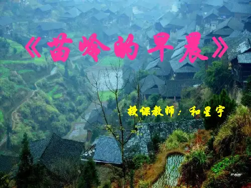 2《苗岭的早晨》PPT课件3