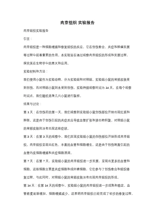 肉芽组织 实验报告