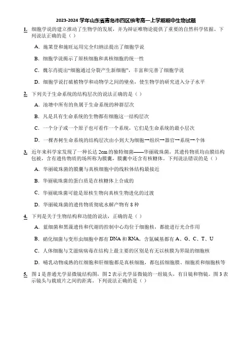 2023-2024学年山东省青岛市四区统考高一上学期期中生物试题