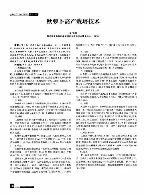 秋萝卜高产栽培技术