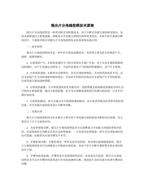 根尖片分角线投照技术原理