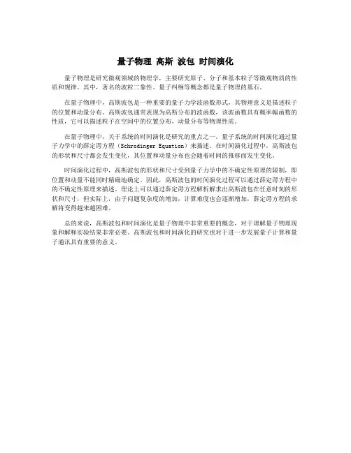 量子物理 高斯 波包 时间演化
