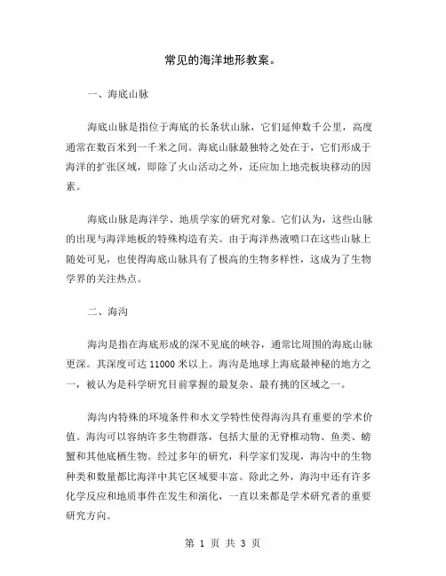 常见的海洋地形教案