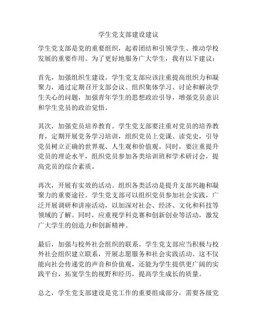 学生党支部建设建议