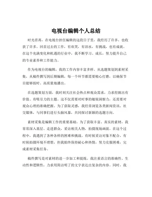 电视台编辑个人总结