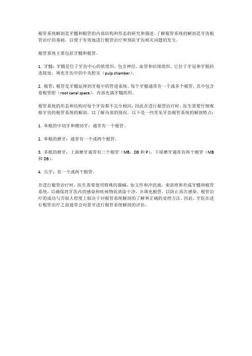 根管系统解剖
