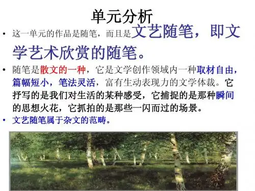 小树林中的泉水