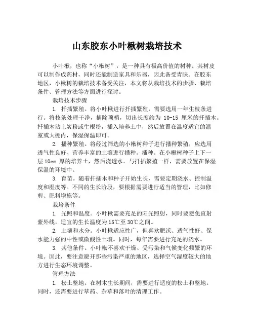山东胶东小叶楸树栽培技术