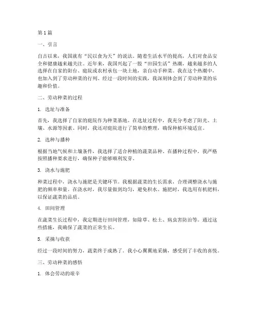 劳动种菜感悟心得体会(3篇)