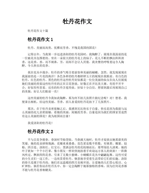 牡丹花作文