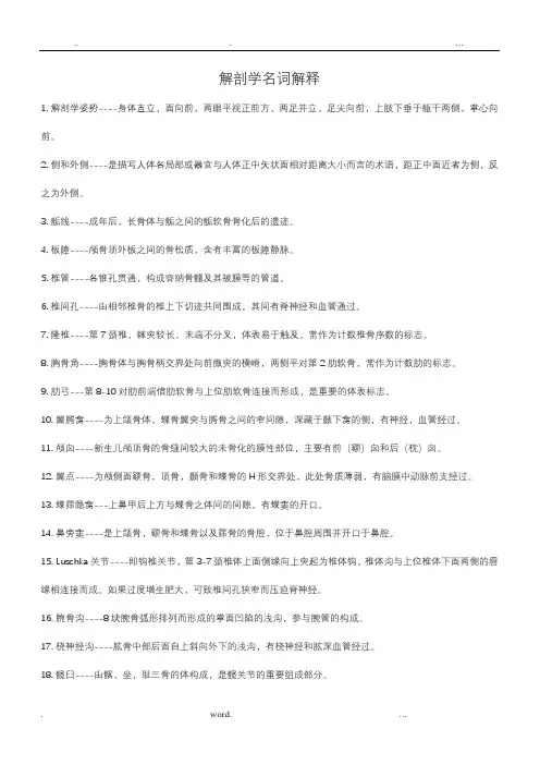 解剖学名词解释