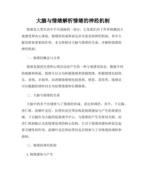 大脑与情绪解析情绪的神经机制