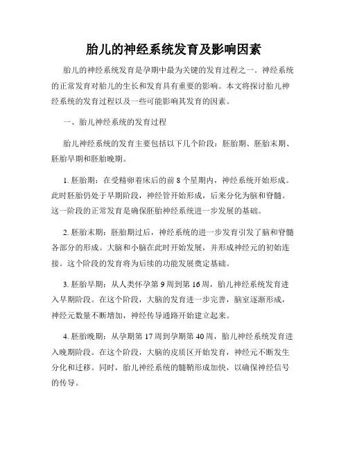 胎儿的神经系统发育及影响因素