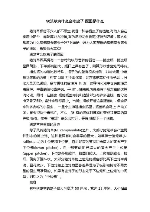 猪笼草为什么会吃虫子原因是什么