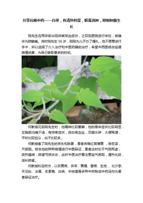分享抗癌中药——白英，有清热利湿，解毒消肿，抑制肿瘤生长