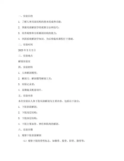 人体局部解剖实验报告