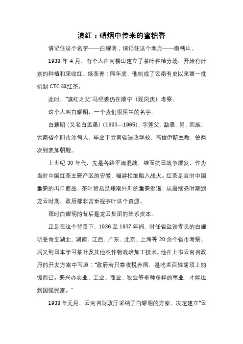 滇红：硝烟中传来的蜜糖香