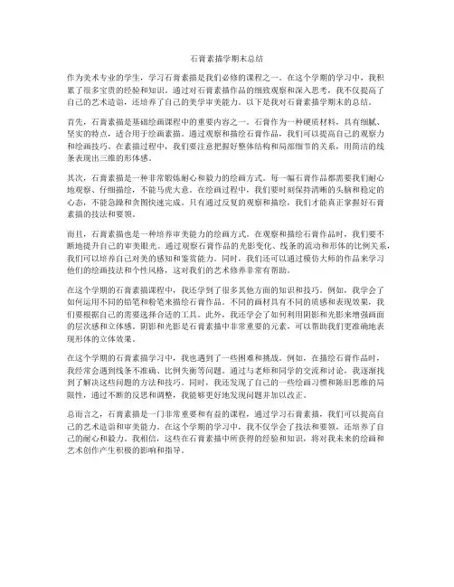 石膏素描学期末总结