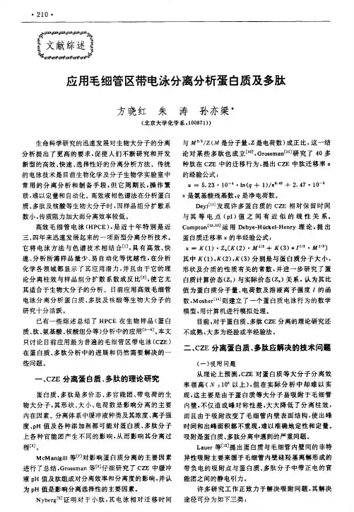 应用毛细管区带电泳分离分析蛋白质及多肽