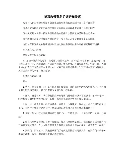 描写秋天菊花的词语和段落